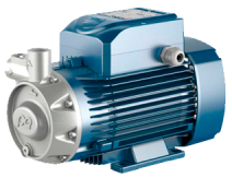 PEDROLLO PQ 3000